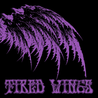 tired wings